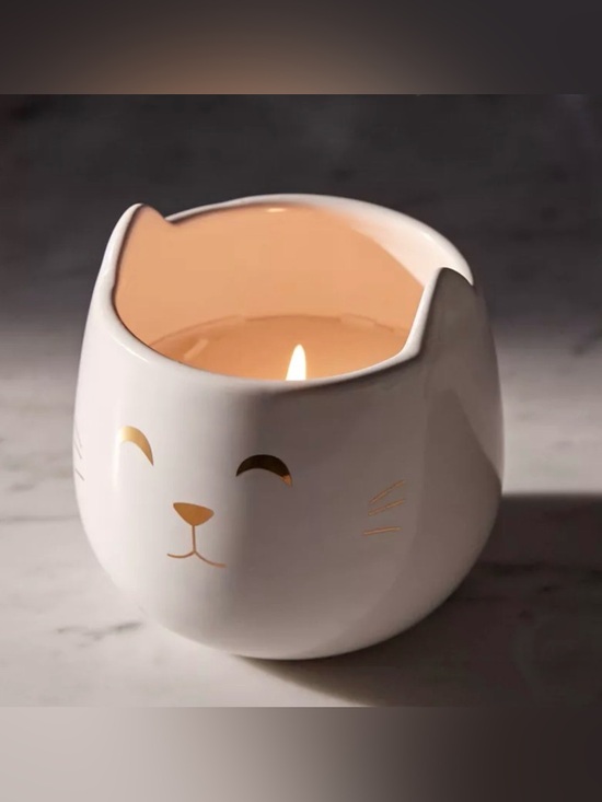Urban Outfitters Other - Urban Outfitters Ceramic Cat Candle
